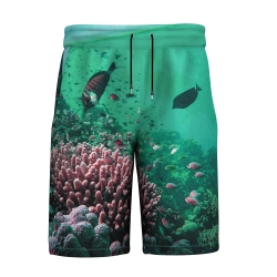 Ocean Reef Underwater Print Shorts